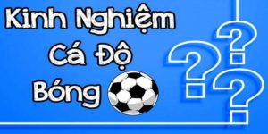 Kinh nghiệm cược bóng đá